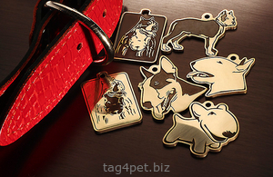 Tag for dog breeds Staffordshire terrier