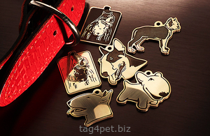 Tag for dog breeds Staffordshire terrier