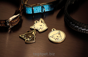 Tag for dog breeds Toy terrier