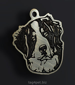 Tag for dog breeds Bernese mountain dog