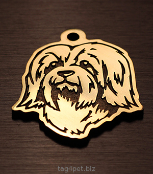 Медальон для собак породы Гаванский бишон