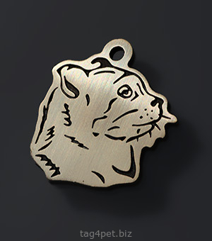Медальон для котов и кошек Американский кёрл