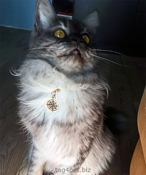 Медальон для котов и кошек